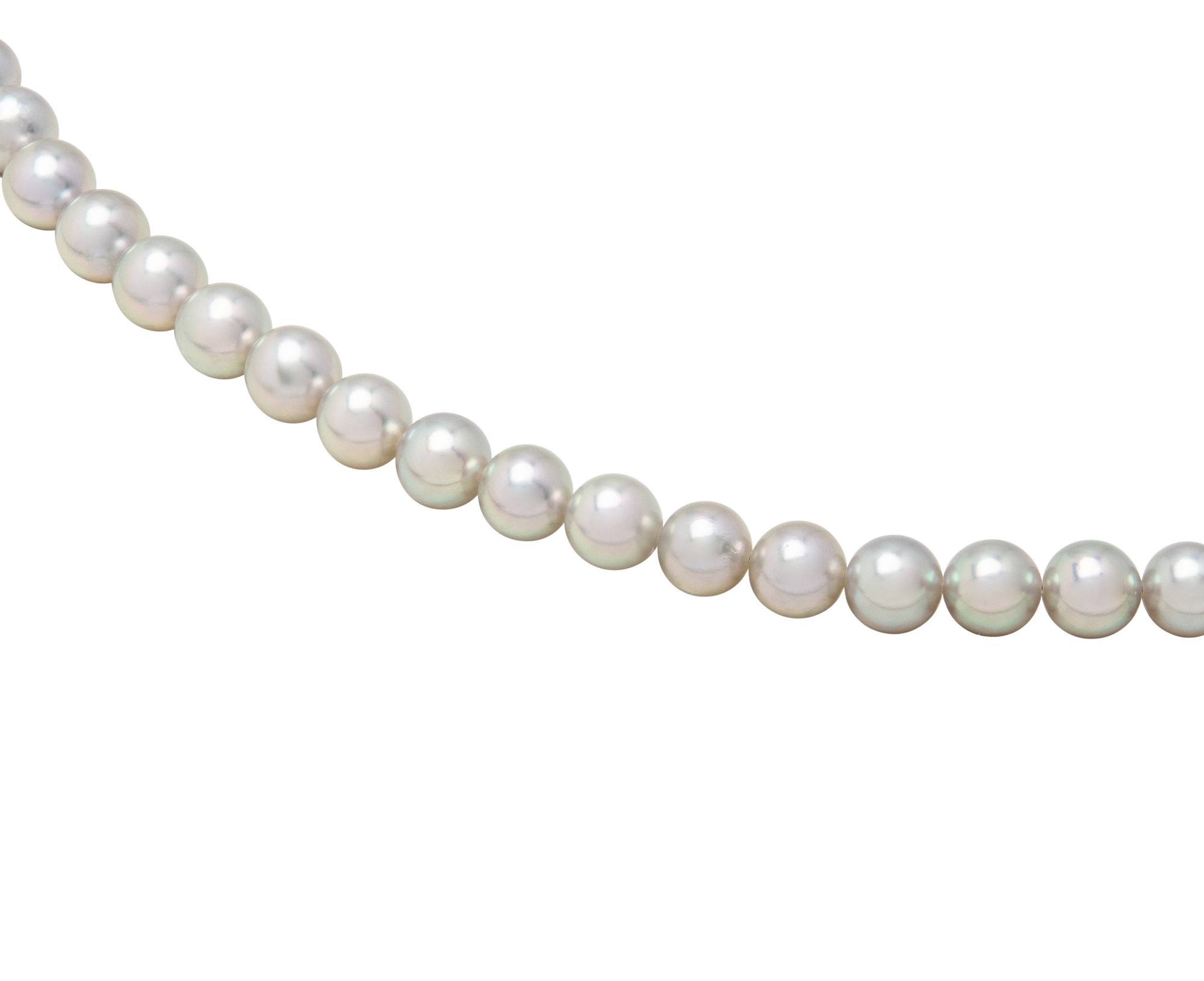 Blue Rose Akoya Necklace Exclusive