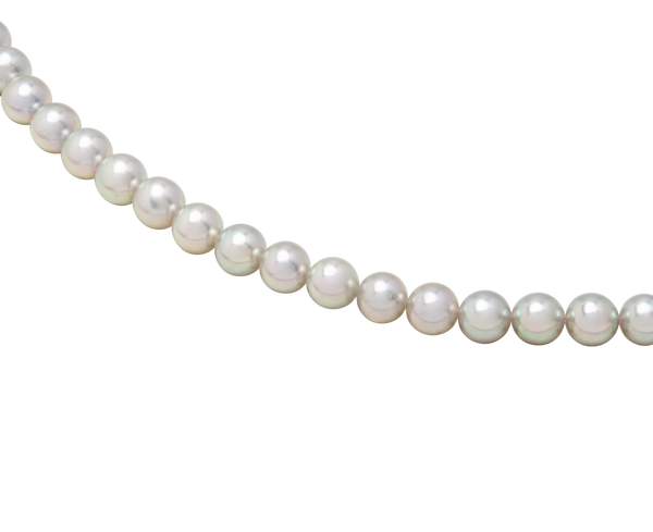 Blue Rose Akoya Necklace Exclusive