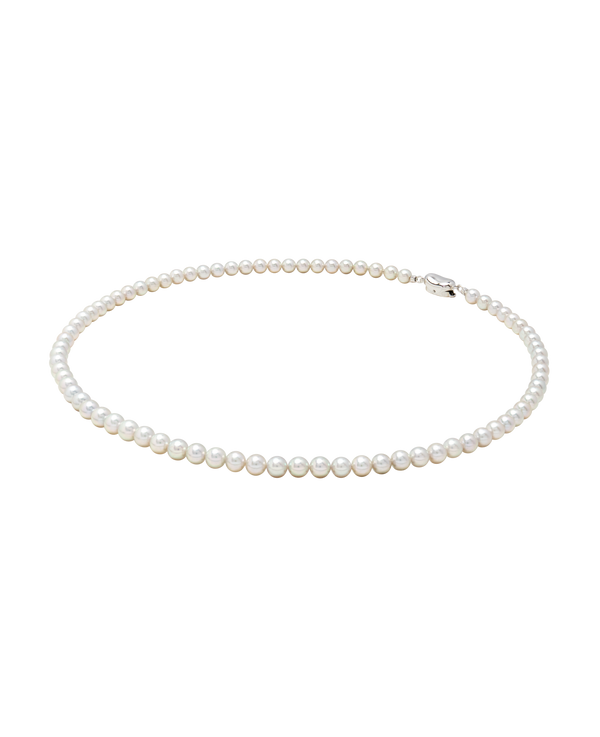 Blue Rose Akoya Necklace Exclusive