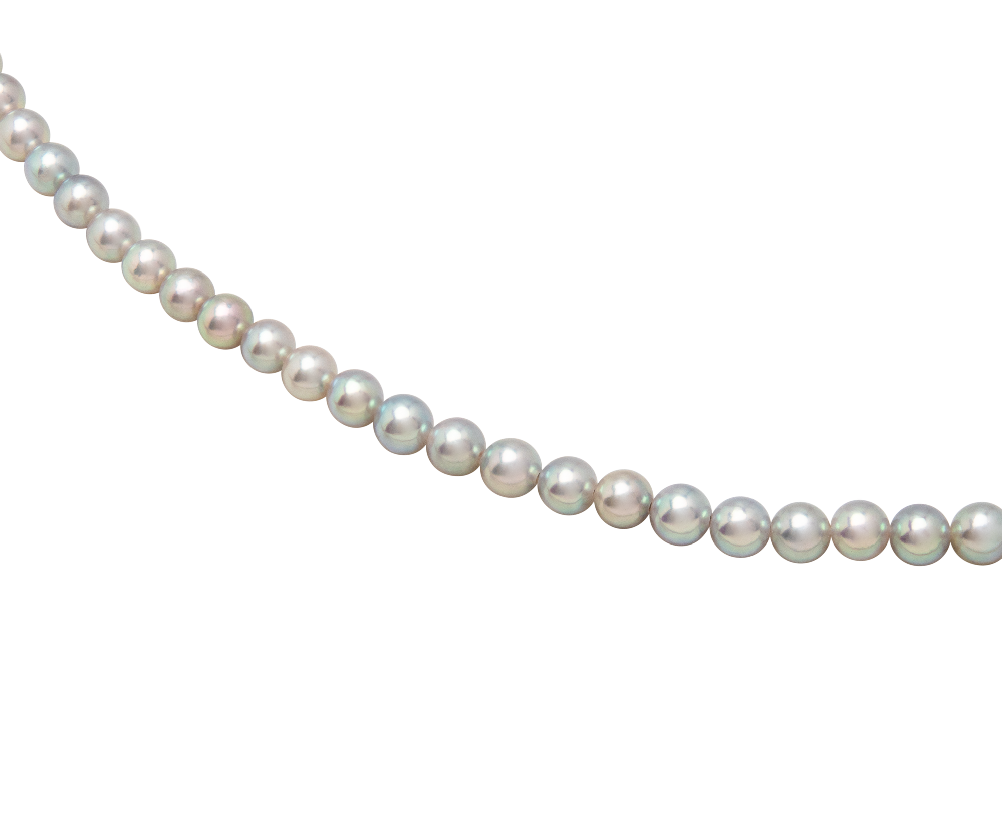 Blue Rose Akoya Necklace Exclusive