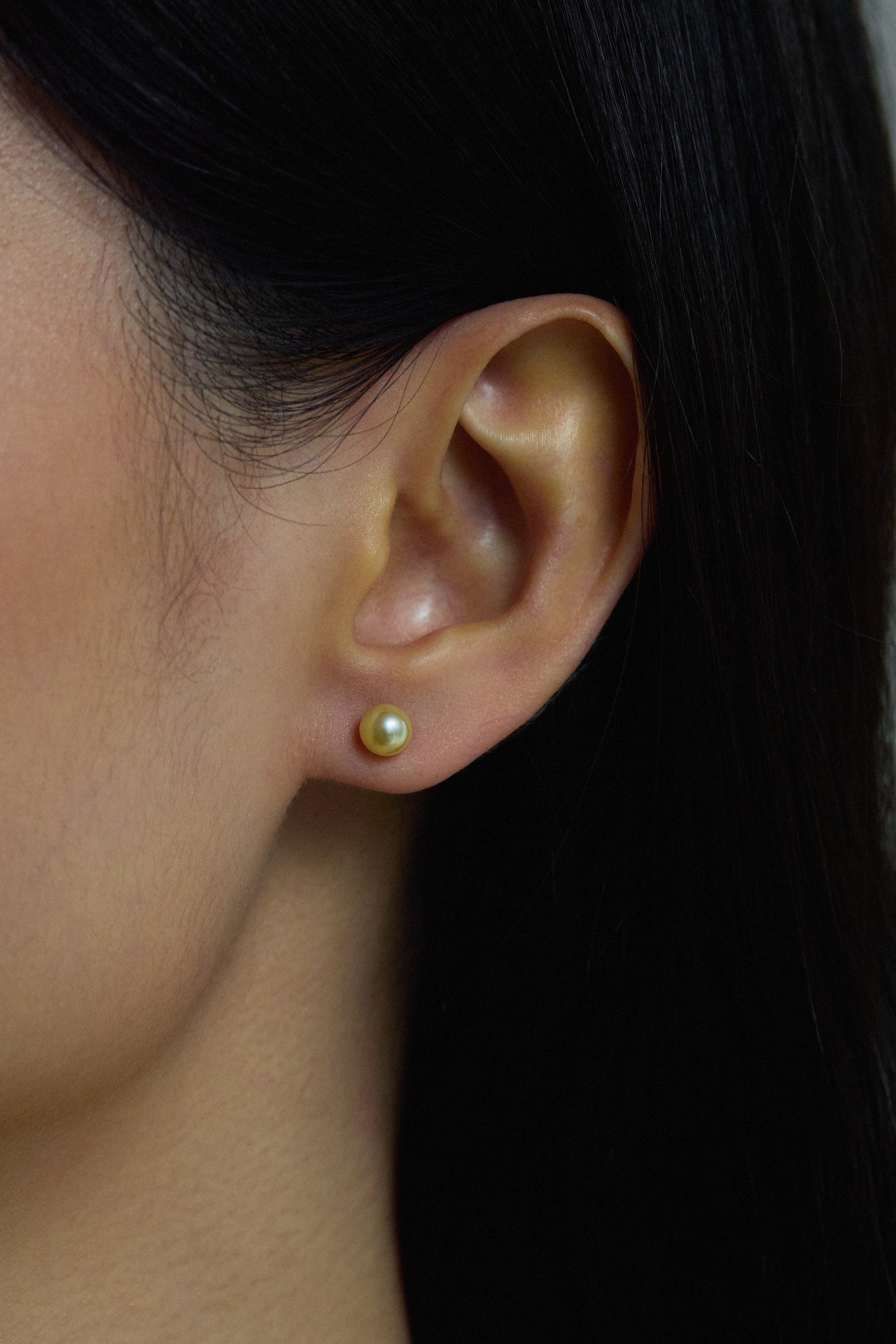 Champagne Gold Akoya Pearl Ear Studs