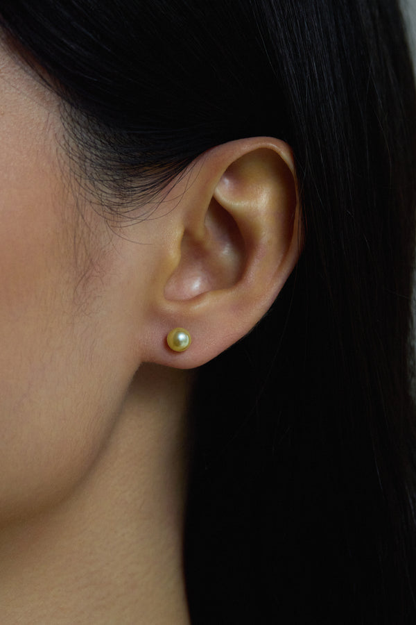 Champagne Gold Akoya Pearl Ear Studs