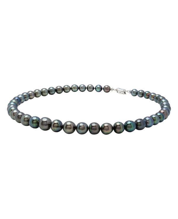 Tahitian Pearl Necklace