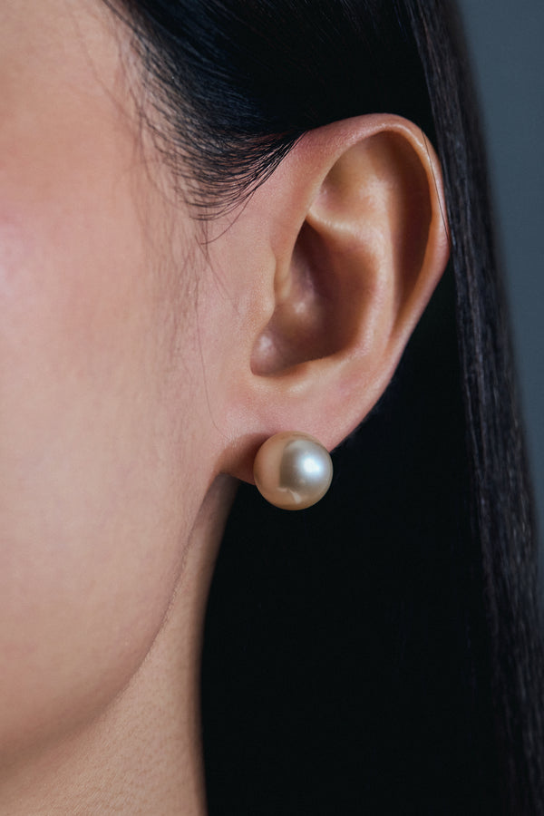 South Sea Champagne Pearl Ear Studs
