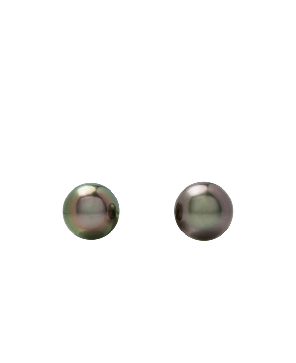 Peacock Tahitian Pearl Ear Studs