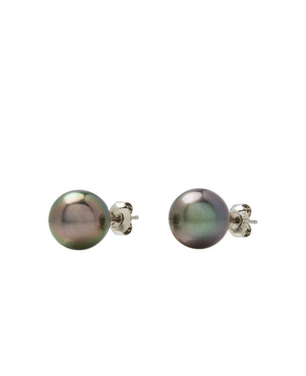 Peacock Tahitian Pearl Ear Studs