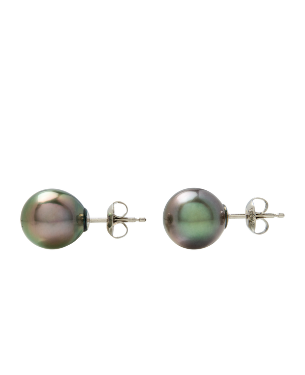 Peacock Tahitian Pearl Ear Studs
